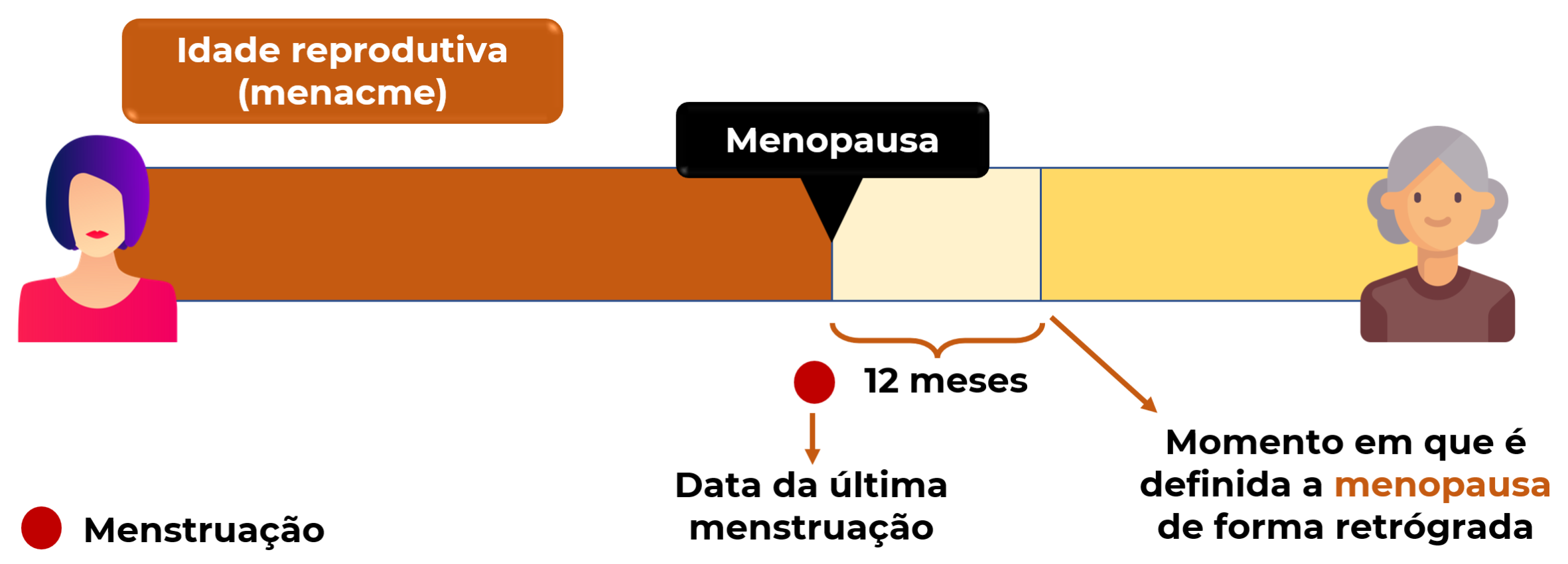 Nomenclatura e terminologia da menopausa – GinecoAcademy