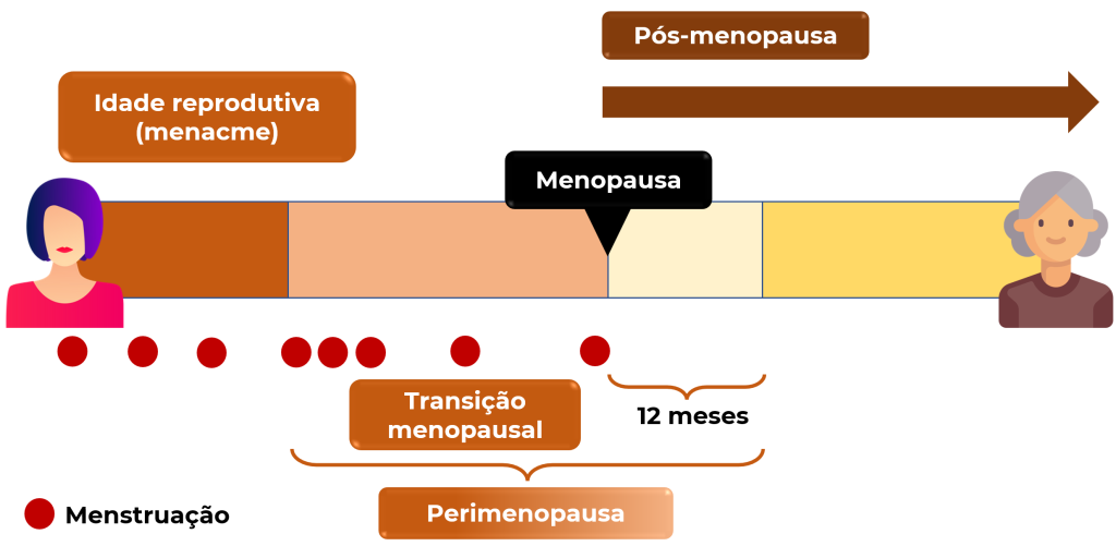 Nomenclatura e terminologia da menopausa – GinecoAcademy