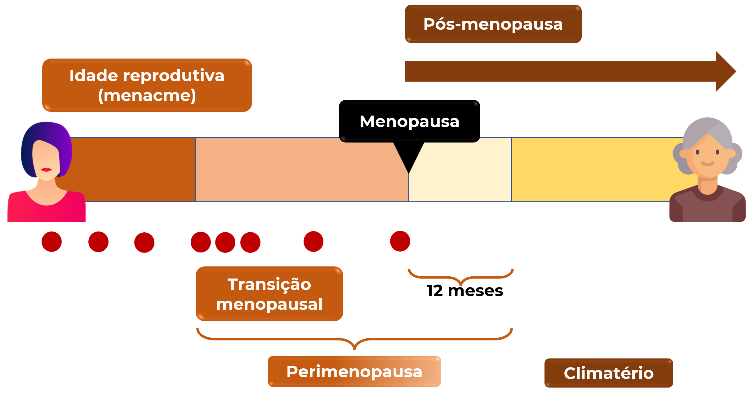 Nomenclatura e terminologia da menopausa – GinecoAcademy