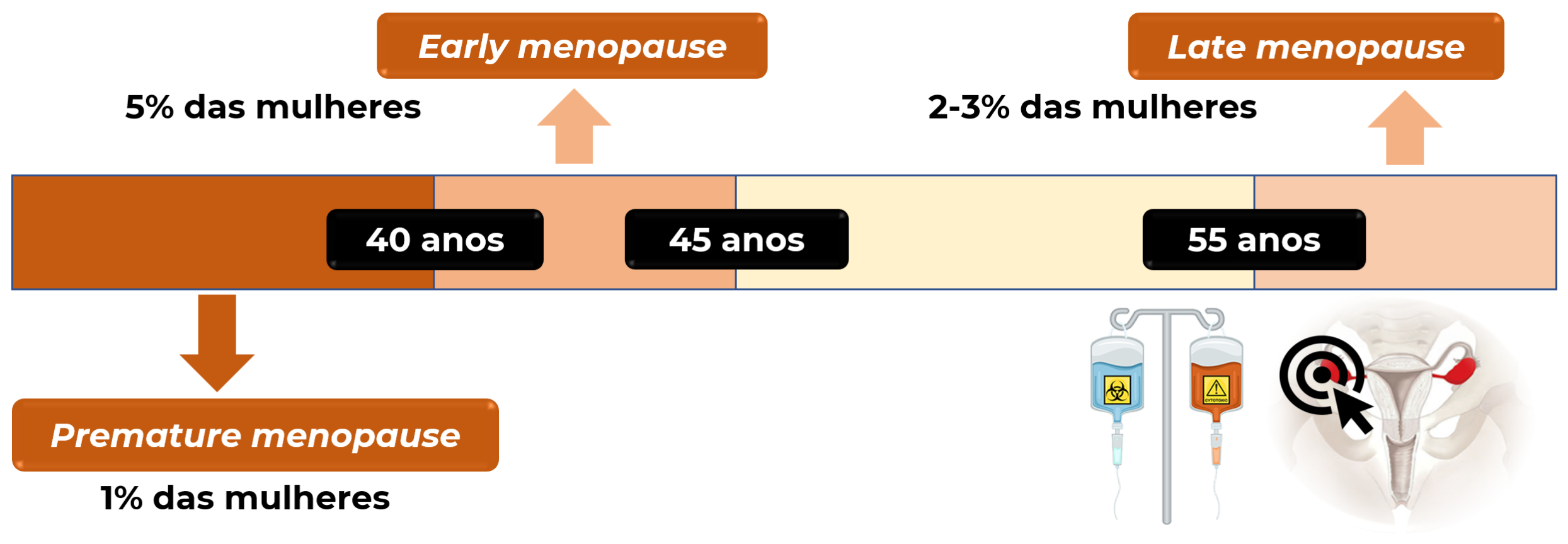 Nomenclatura e terminologia da menopausa – GinecoAcademy