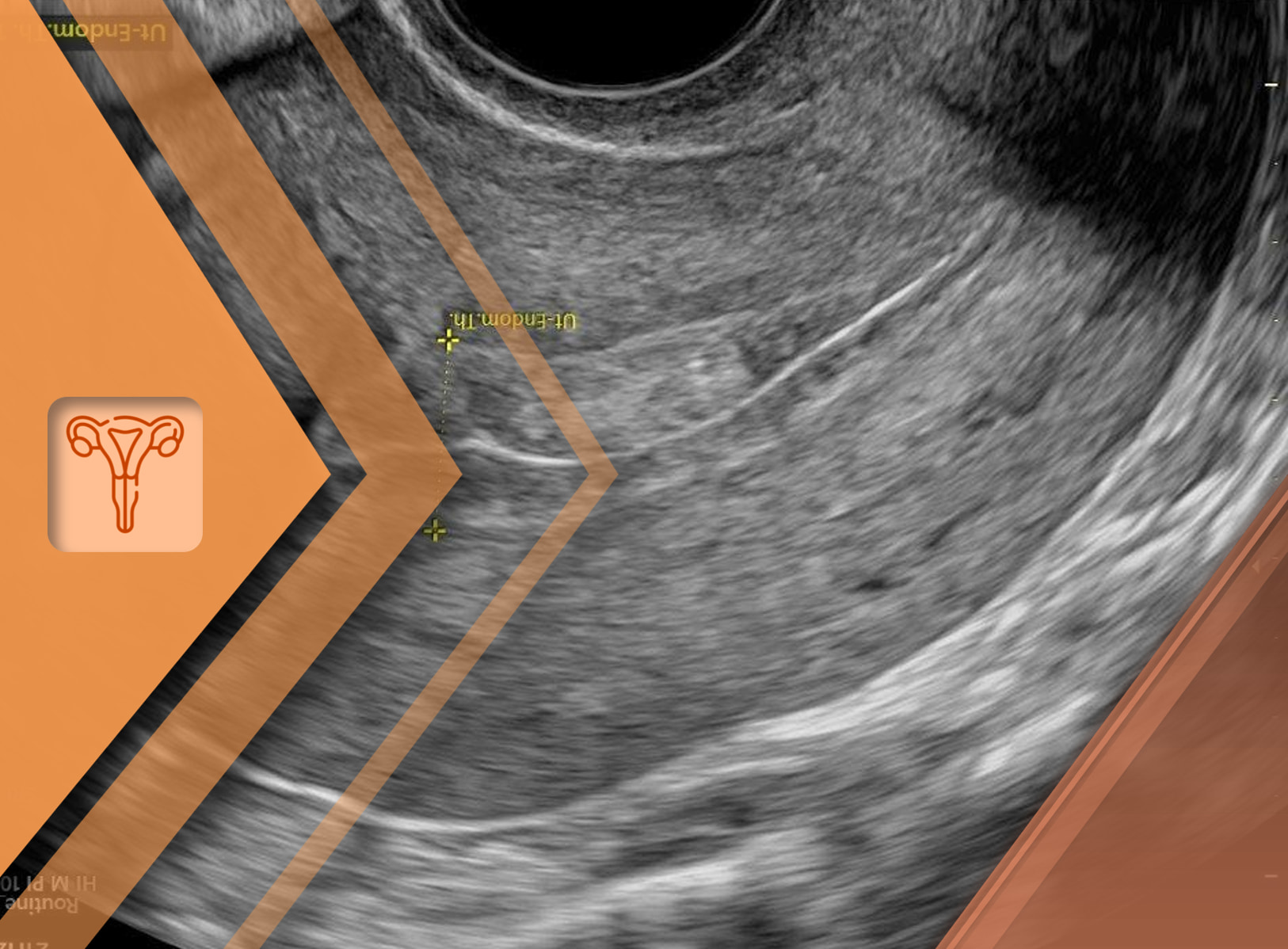 image - 2025-12-09T191440.163