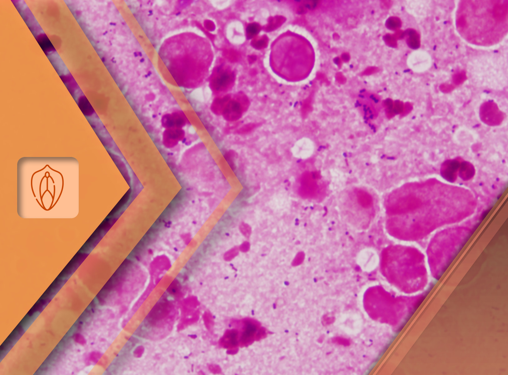 image - 2026-03-16T153232.356